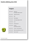 Program för estetisk utbildning 2012